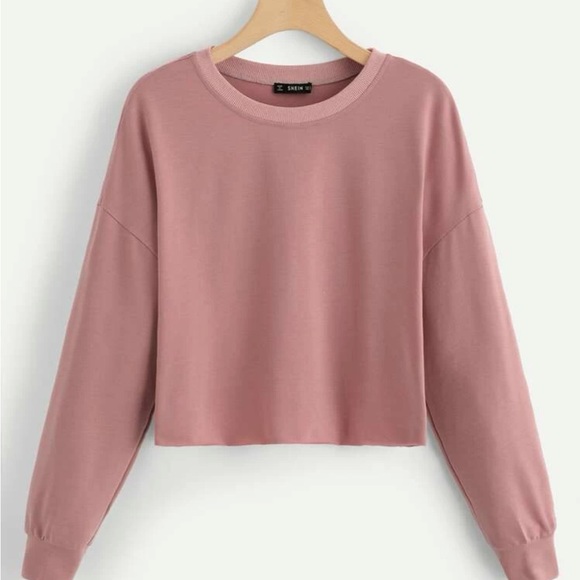 Beautiful Soft Rose Long Sleeve Crop Top - Picture 1 of 4